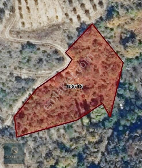 Sakarya Geyvede 2.548 M² Müstakil Tarla Yatırımlık Fırsat!