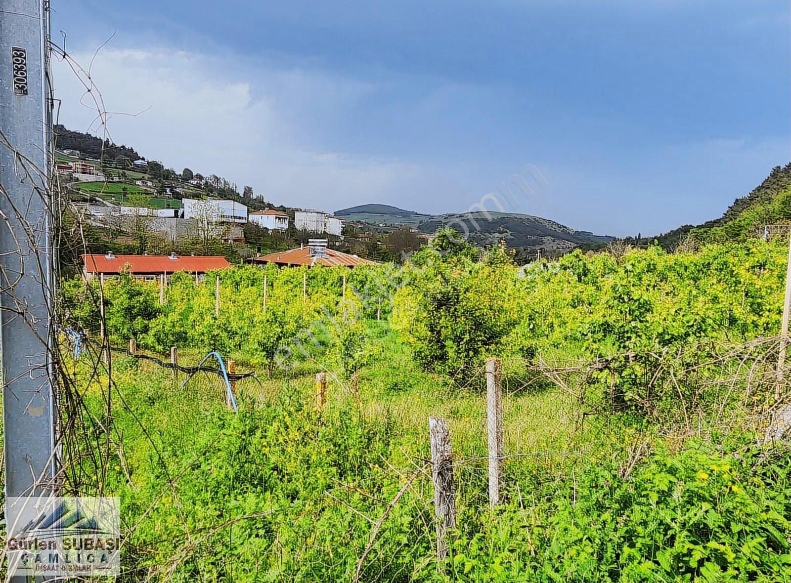 Çamlıcadan Ankara Yoluna Çok Yakın Mesafede Satılık Tarla - Görsel 22