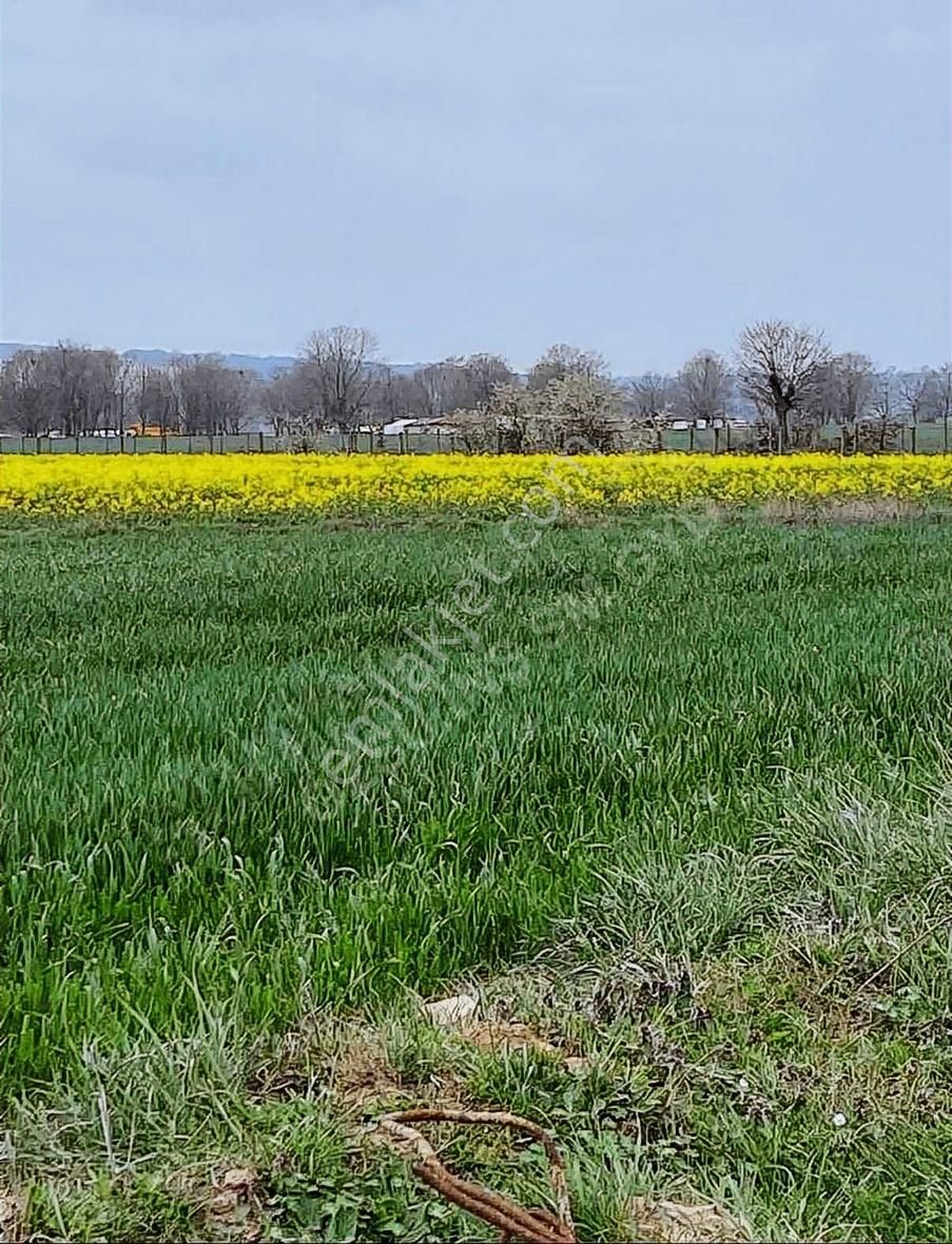 Saray Büyükyoncalıda Satılık 494 Metre İmarlı Arsa Acil