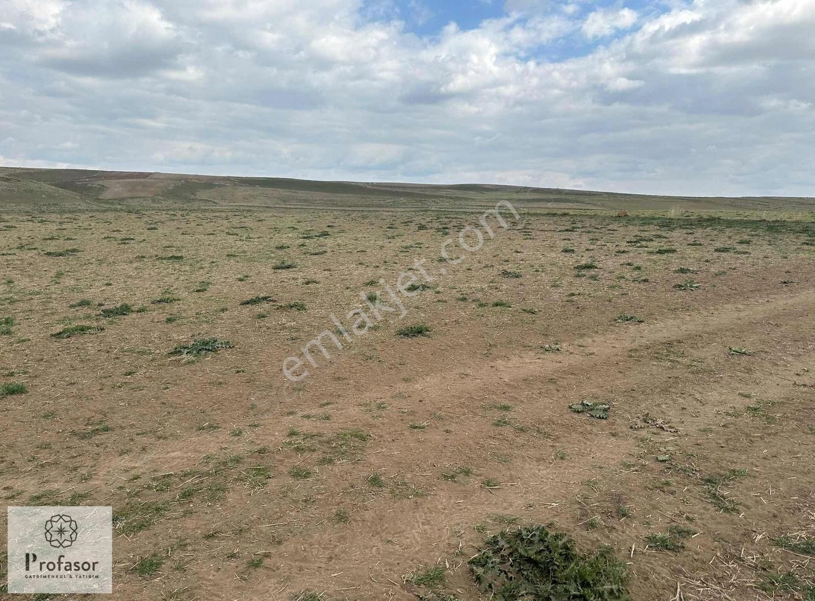 Profasor *dan Ankara Haymana Da Satılık 11879m2 Tarla