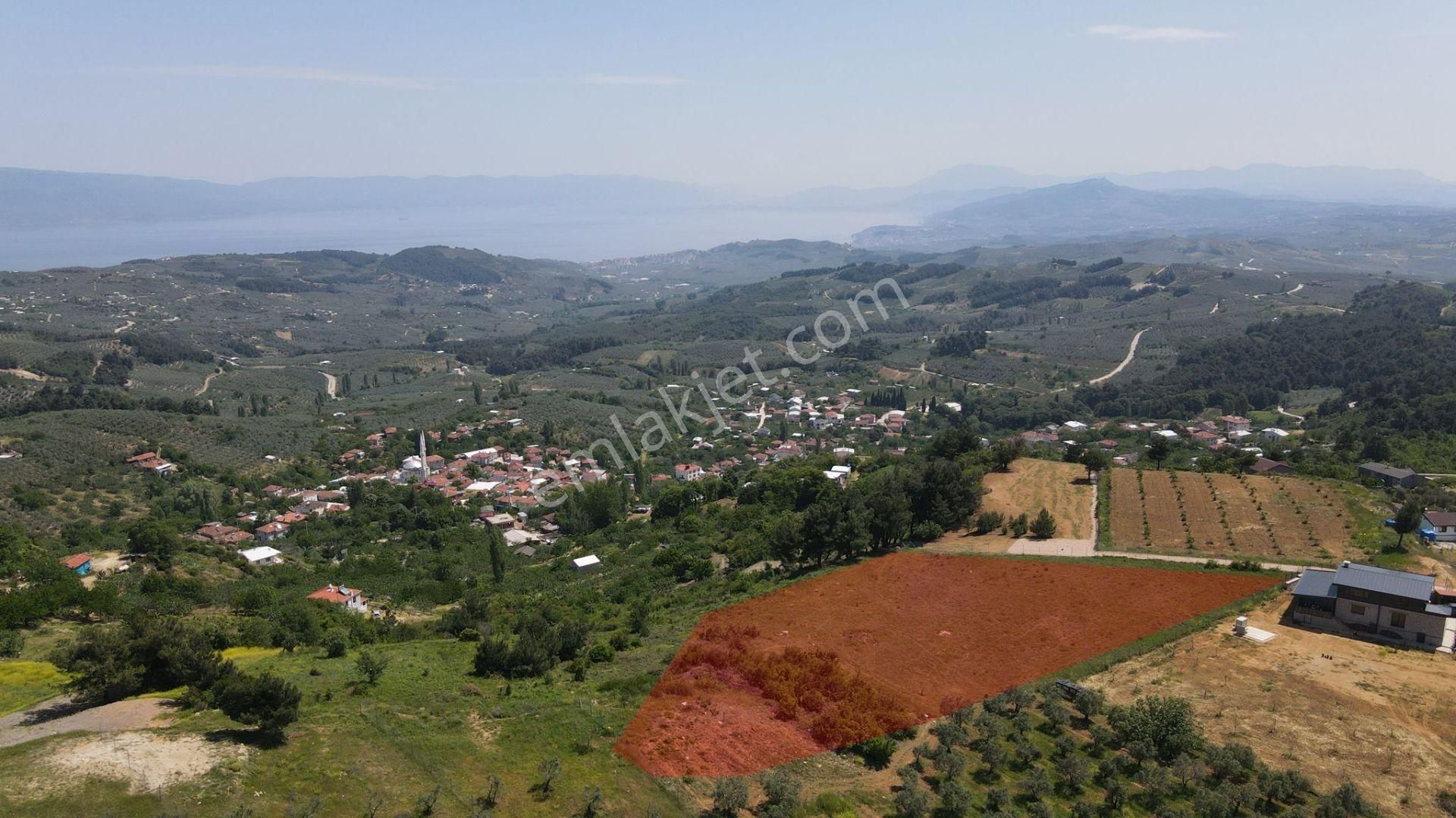 Mudanya Çepni Hakim Tepe Deniz Manzaralı 5 Dönüm Tarla