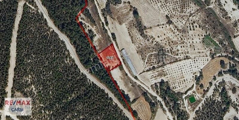 Manisa Selendi Turpçu Mahallesinde Satılık 1703 M2 Tarla
