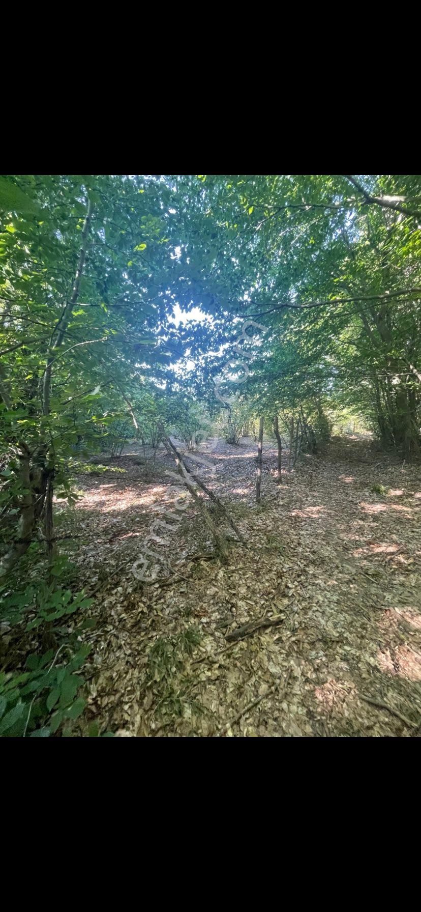 Sahibinden Satılık 370 Mt Bu Fiyata Yok Sahile 4.5 Km De