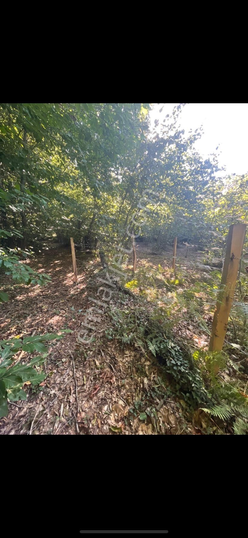 Sahibinden Satılık 370 Mt Bu Fiyata Yok Sahile 4.5 Km De - Görsel 2