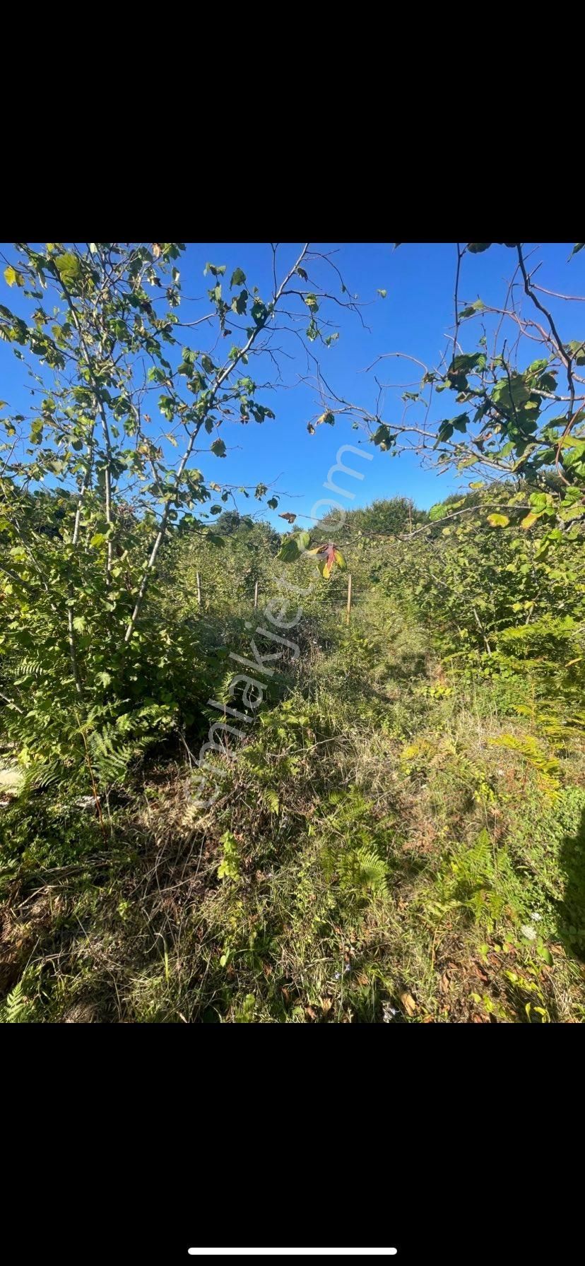 Sahibinden Satılık 370 Mt Bu Fiyata Yok Sahile 4.5 Km De - Görsel 5