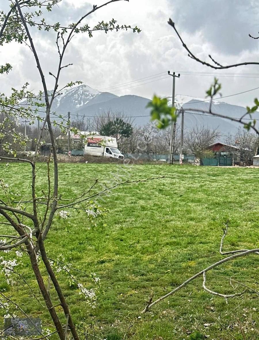 Royal Office | Alaçamda - 325m2-2 Tapu-elektrik Suyu Var