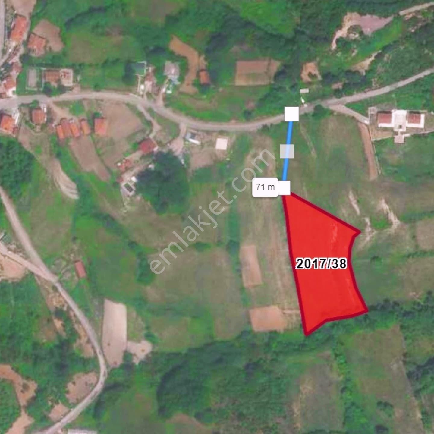 Firsat Arsa