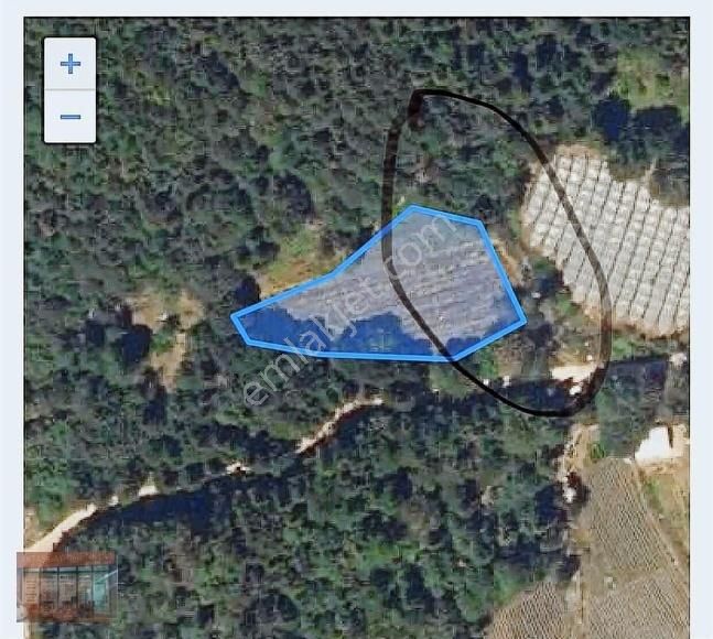 Aktaş'tan Kestel Derekızık'ta Satılık 605 M2 Tarla