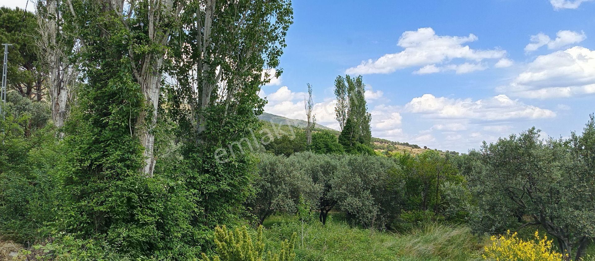 Bilge Emlak'tan Şarköy Gazi Köyden İki Tarafı Yol Bungalovluk Bahçe
