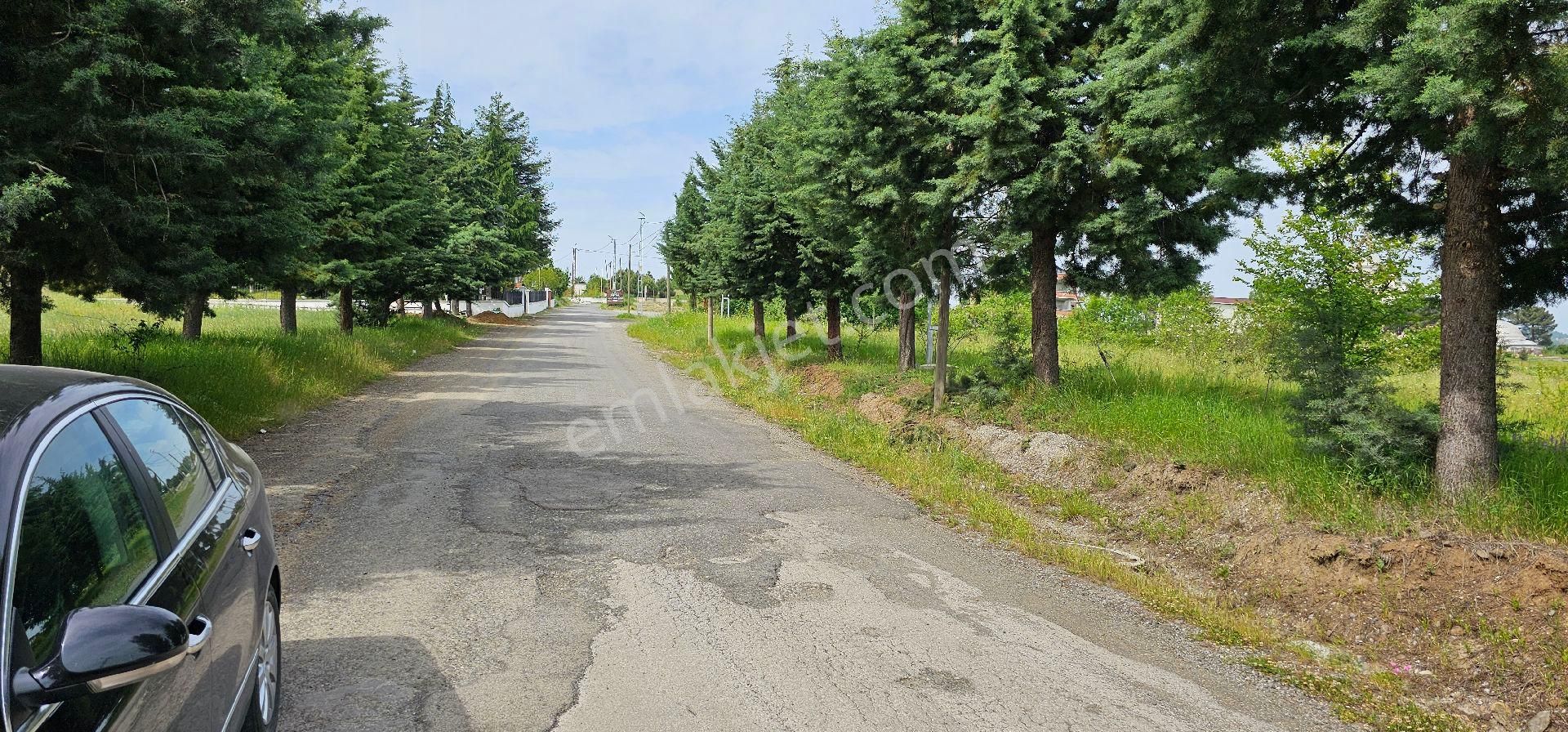 Öztürkler Gayrimenkulden Trabzon Akçaabat Sarıtaşta Villalık Lüks Satılık Arsalar