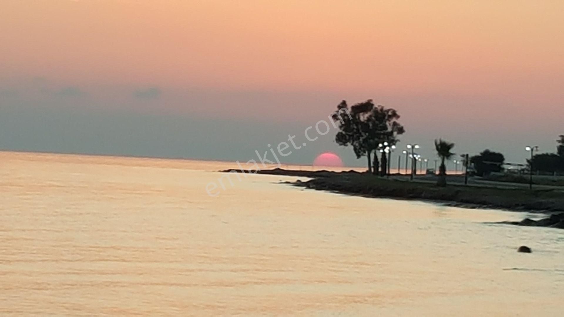 Gökova Körfezi Nin Eşsiz Cenneti Milas Ören De Denize 65 M Müstakil Ev Satılık - Görsel 25