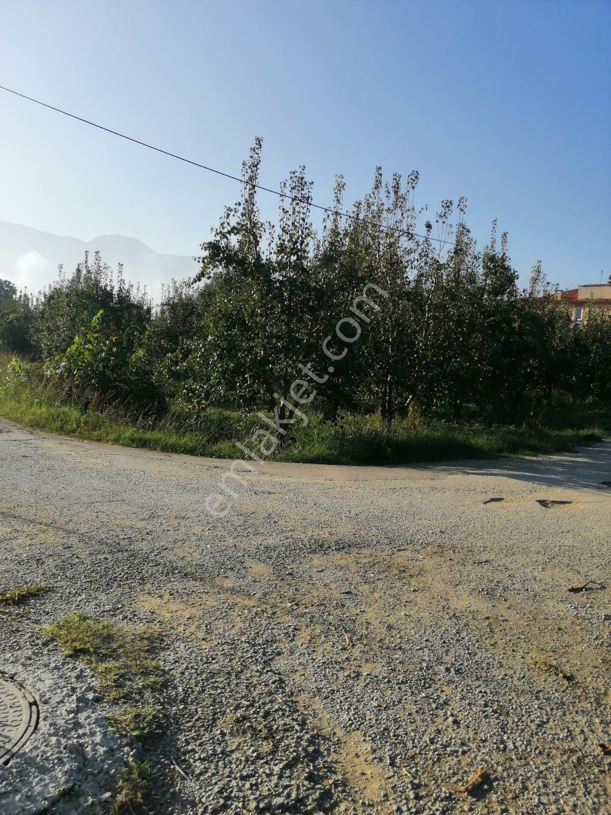 Bursa Yıldırım Samanlı Da Satılık 3050 M2 Tarla - Görsel 11