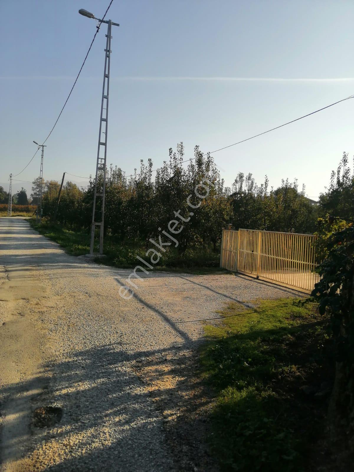 Bursa Yıldırım Samanlı Da Satılık 3050 M2 Tarla - Görsel 13
