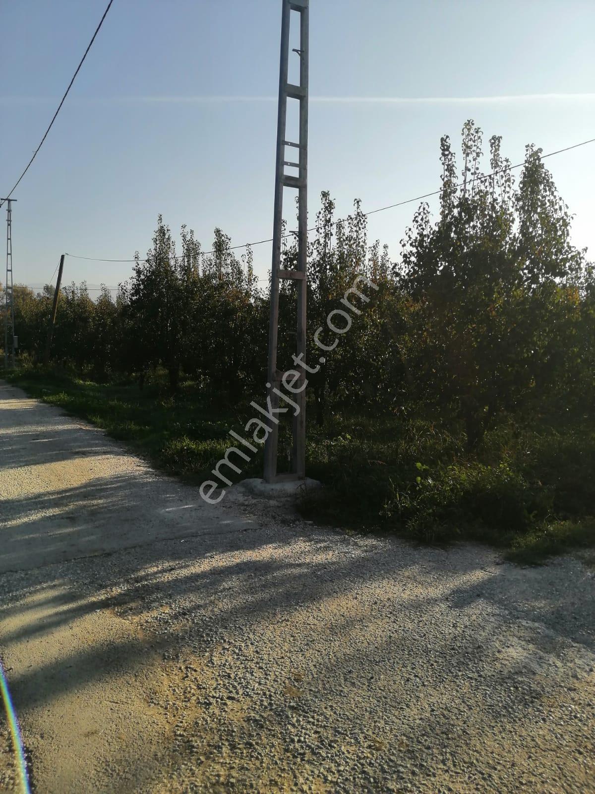 Bursa Yıldırım Samanlı Da Satılık 3050 M2 Tarla - Görsel 14