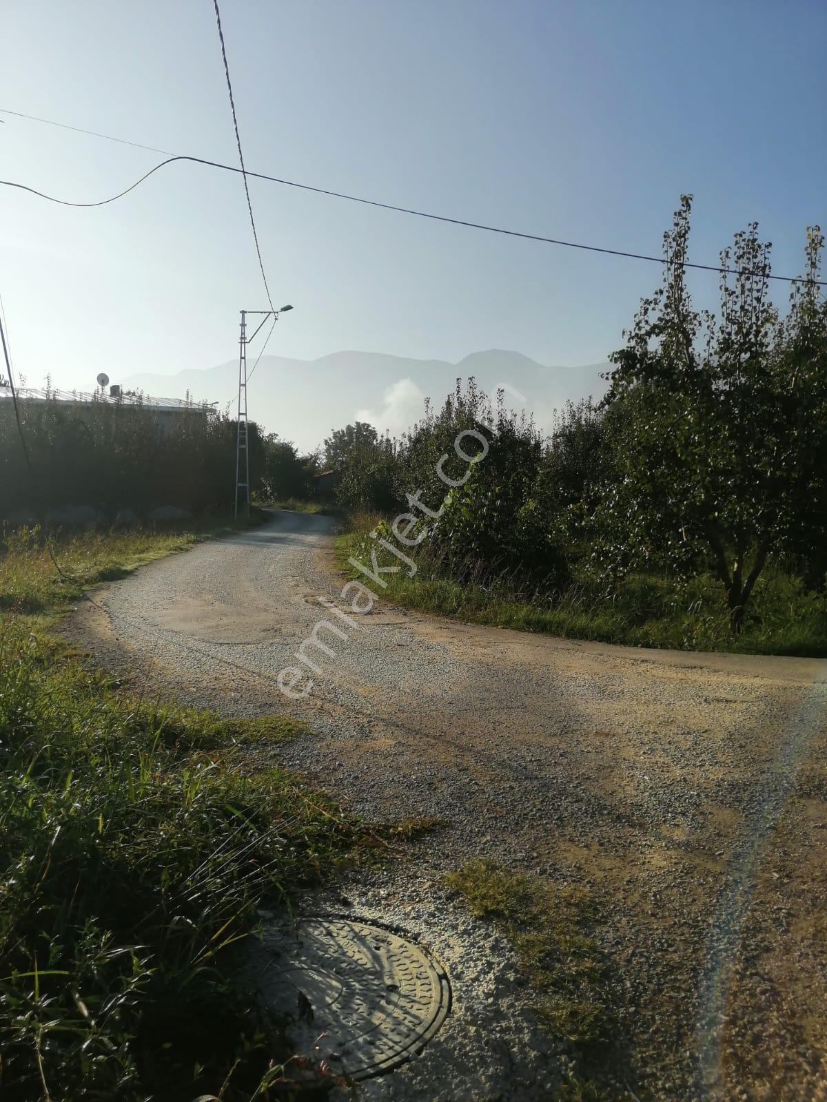 Bursa Yıldırım Samanlı Da Satılık 3050 M2 Tarla - Görsel 2