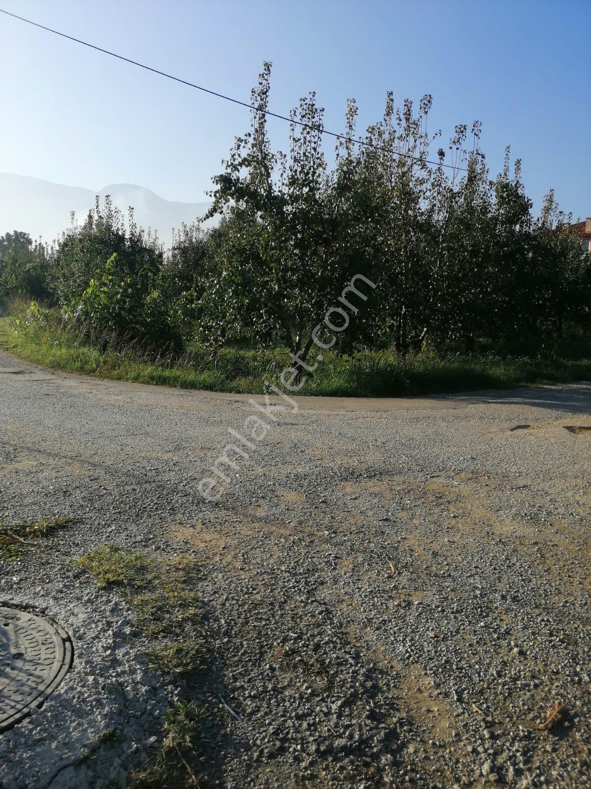 Bursa Yıldırım Samanlı Da Satılık 3050 M2 Tarla - Görsel 10