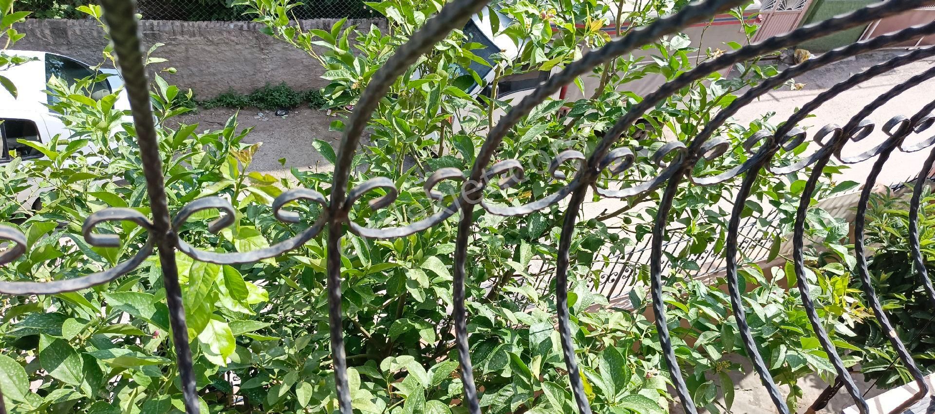 Mitatpaşa'da 2 Katlı Mitatpaşa Camine Yakın Müstakil Ev - Görsel 18