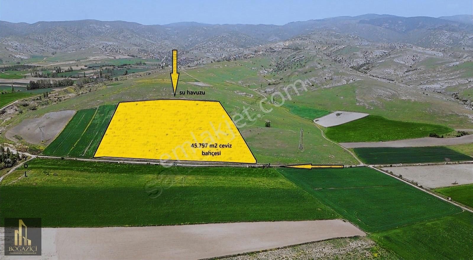İstanbul-samsun Yoluna Yakın 45.800 M2 Ceviz Bahçesi