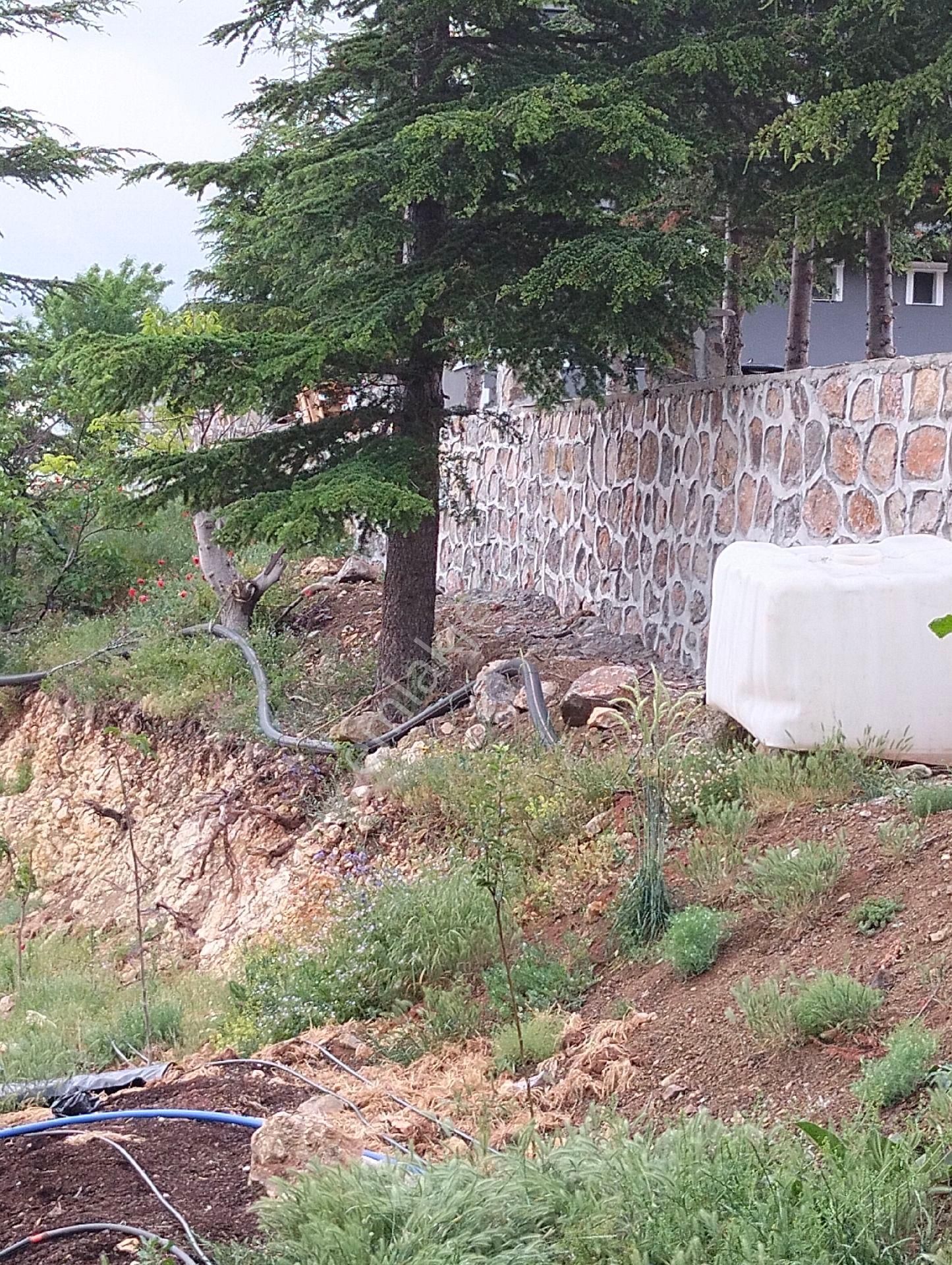 Mersin Aslanköyde Satılık Süper Çiflik Vve Villa - Görsel 8