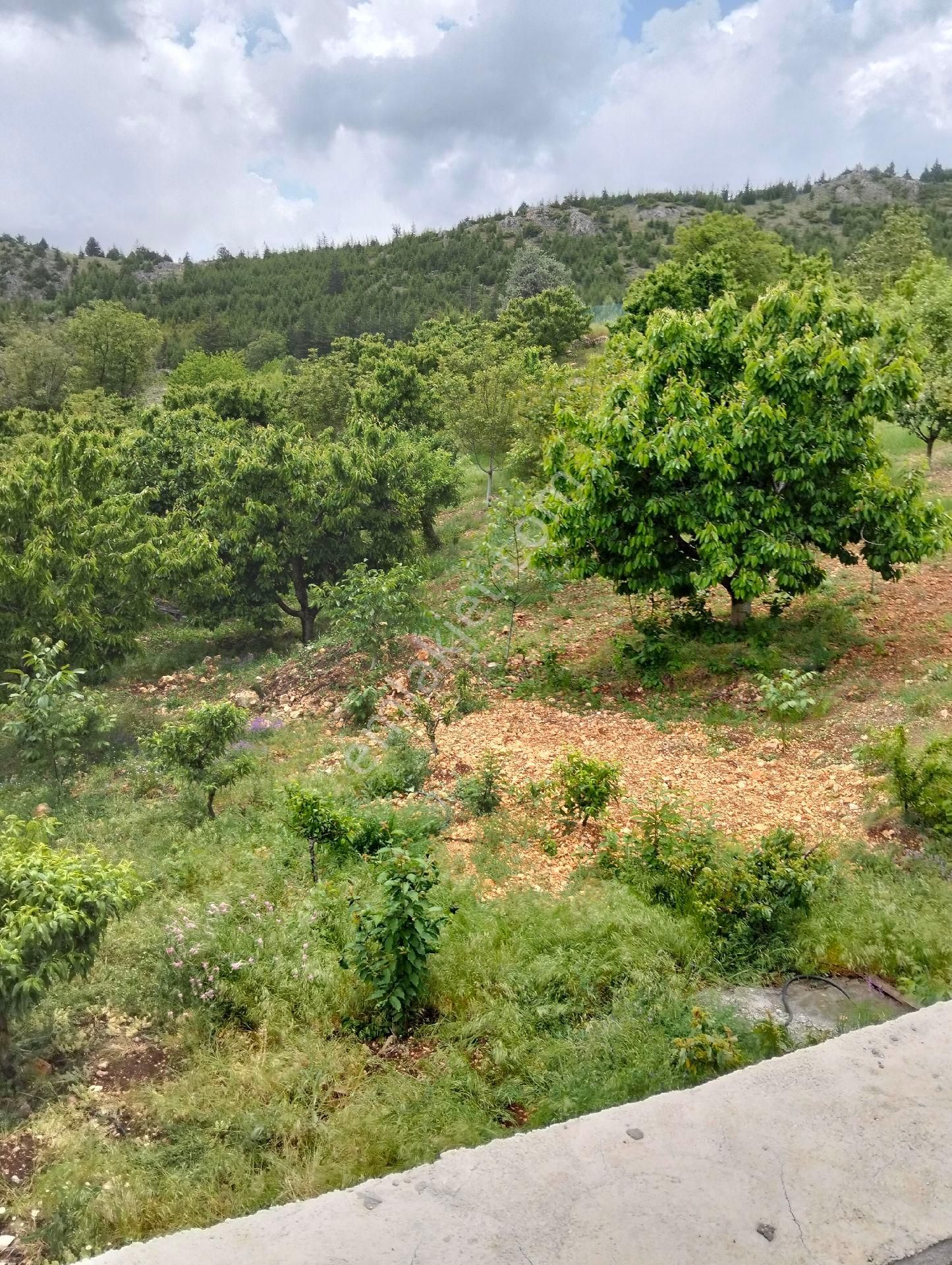 Mersin Aslanköyde Satılık Süper Çiflik Vve Villa - Görsel 17