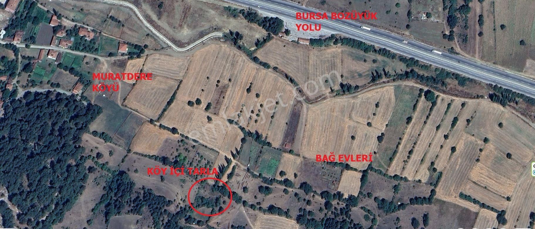 Köy İçi Tarla