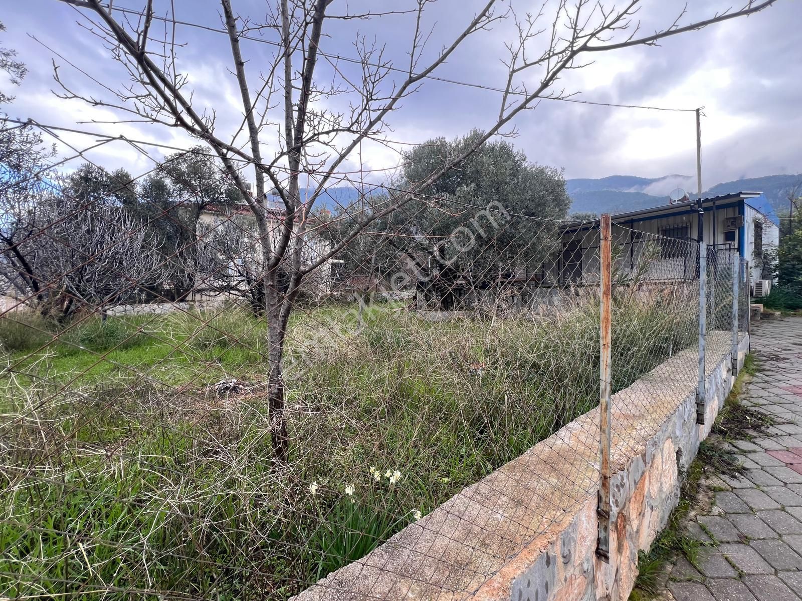 Goldhouse Dan Satılık Arsa Turizmin Cenneti Ölüdeniz De 1022 M2 İmarlı - Görsel 5