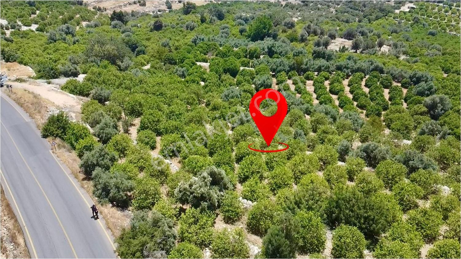 Erdemli Tırtar Bahçecik De Bakımlı Yol Cepheli Deniz Manzaralı Satılık Limon Bahçesi - Görsel 8