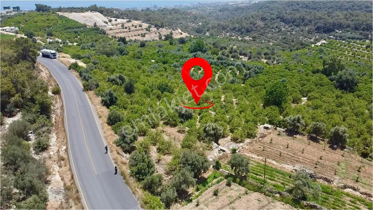 Erdemli Tırtar Bahçecik De Bakımlı Yol Cepheli Deniz Manzaralı Satılık Limon Bahçesi - Görsel 10