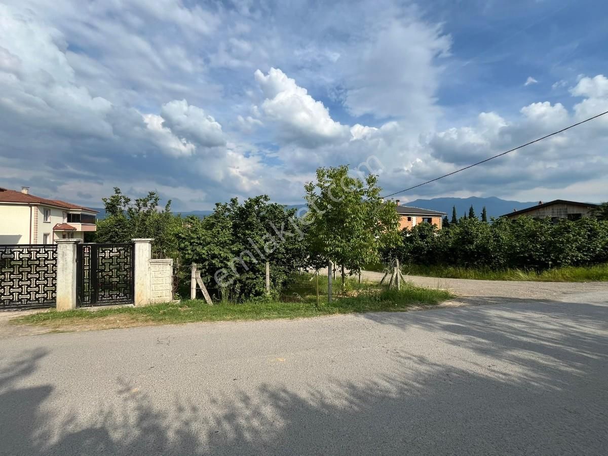 Sakarya Hendek Çağlayanda Düşük M2 Fiyatlı 457m² Satılık Arsa