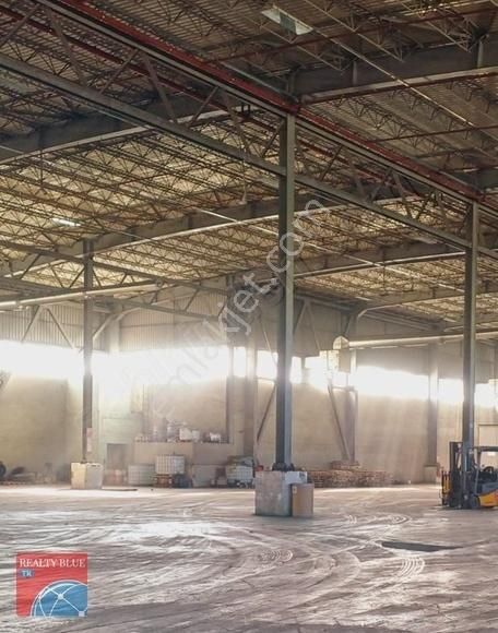 Gebze Balçık'ta Depolamaya Uygun İskanlı 1000² Kiralık