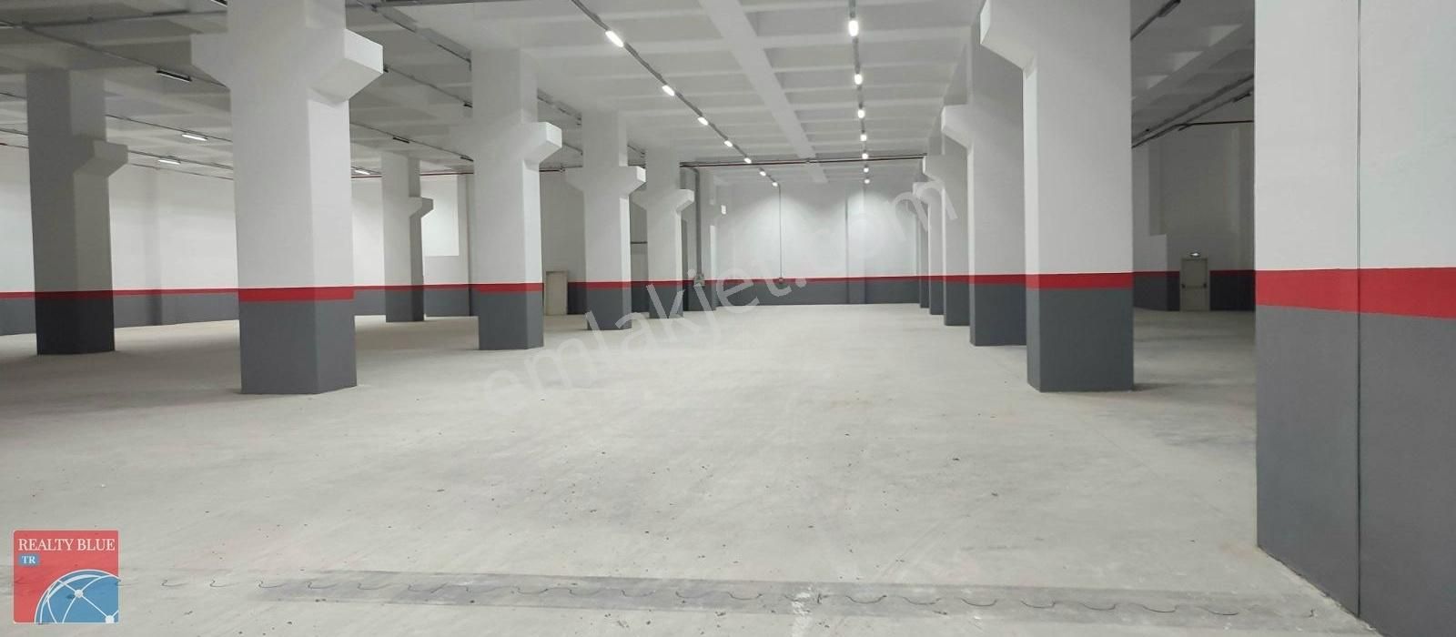 Tuzla Da 5000 M² Kiralık Depo