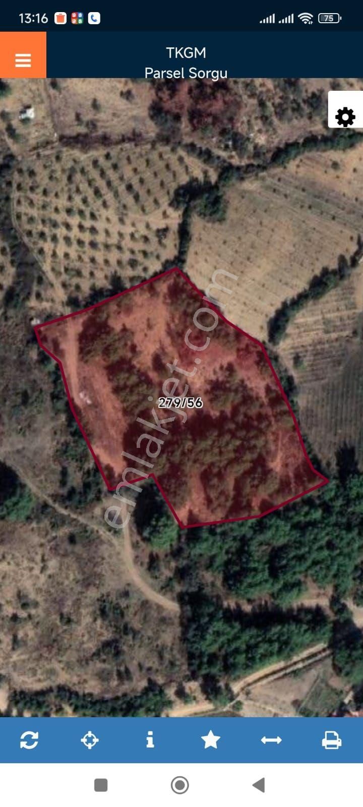 İzmir Seferihisar Tek Tapu Yol Cepheli 11255 Mk Denize 13 Km Yakın - Görsel 2