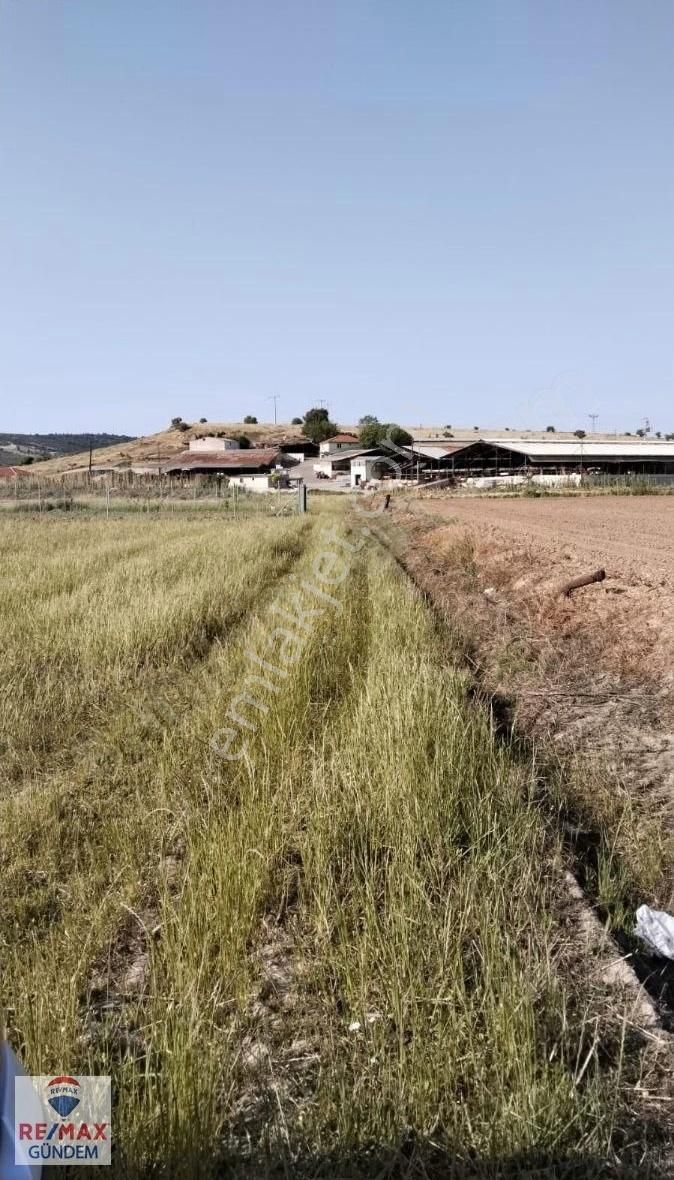 Foça Gerenköy Yol Üzerinde Satilık 691 M2 Tarla