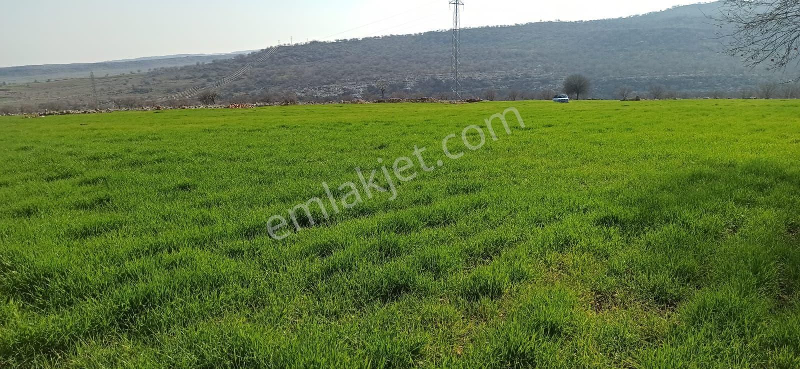 Akyol Gayrimenkul Den Satlık Arban Muratlıda Tarla Aslfatdan Bir İçerde