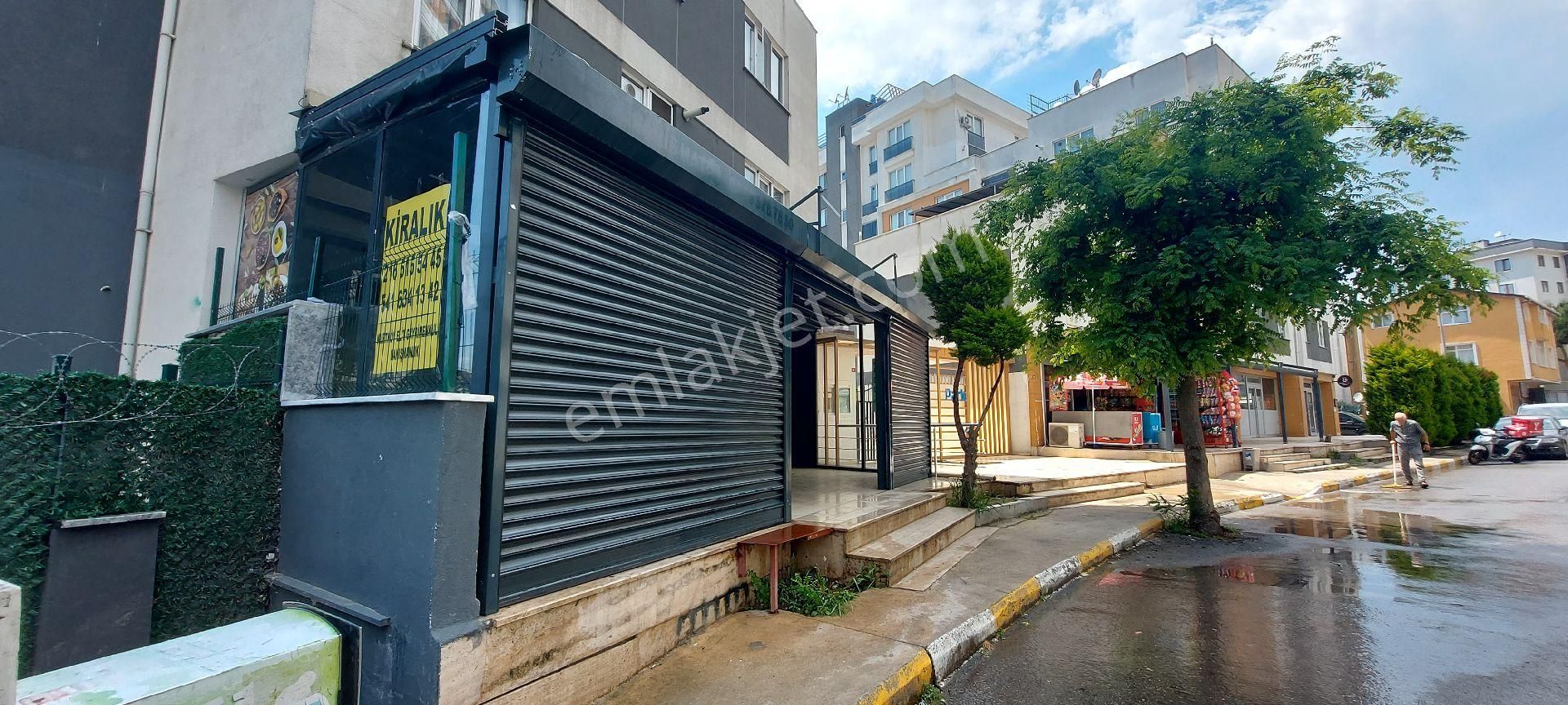 Kurtköy Merkez'de Kiralık Dükkan/ofis