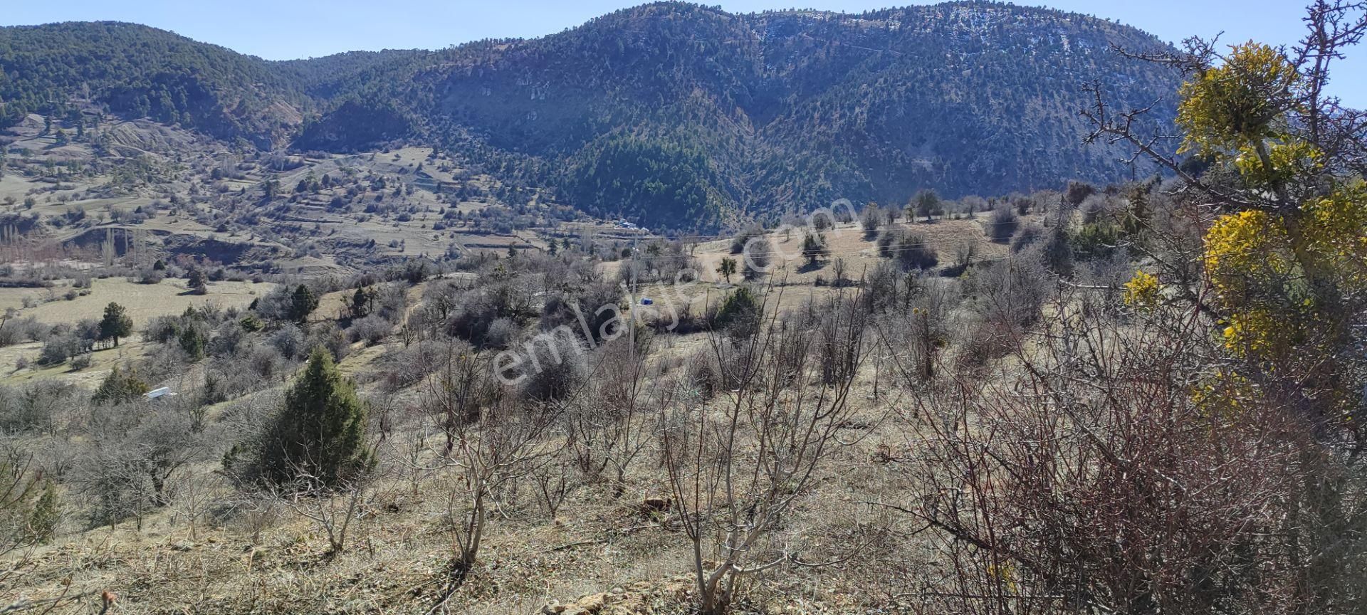 Çameli Cumaalanında 2 Ayrı Müstakil Tapu Tarla