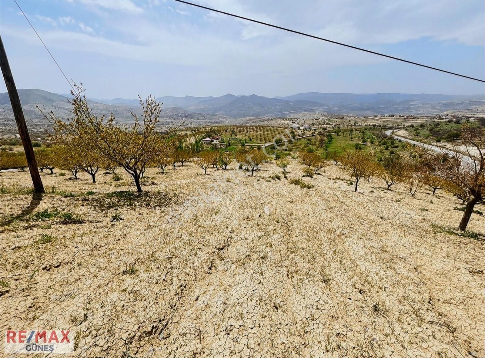 Akçadağ Kepez De Satılık 24.350 M2 Ekili Tarla