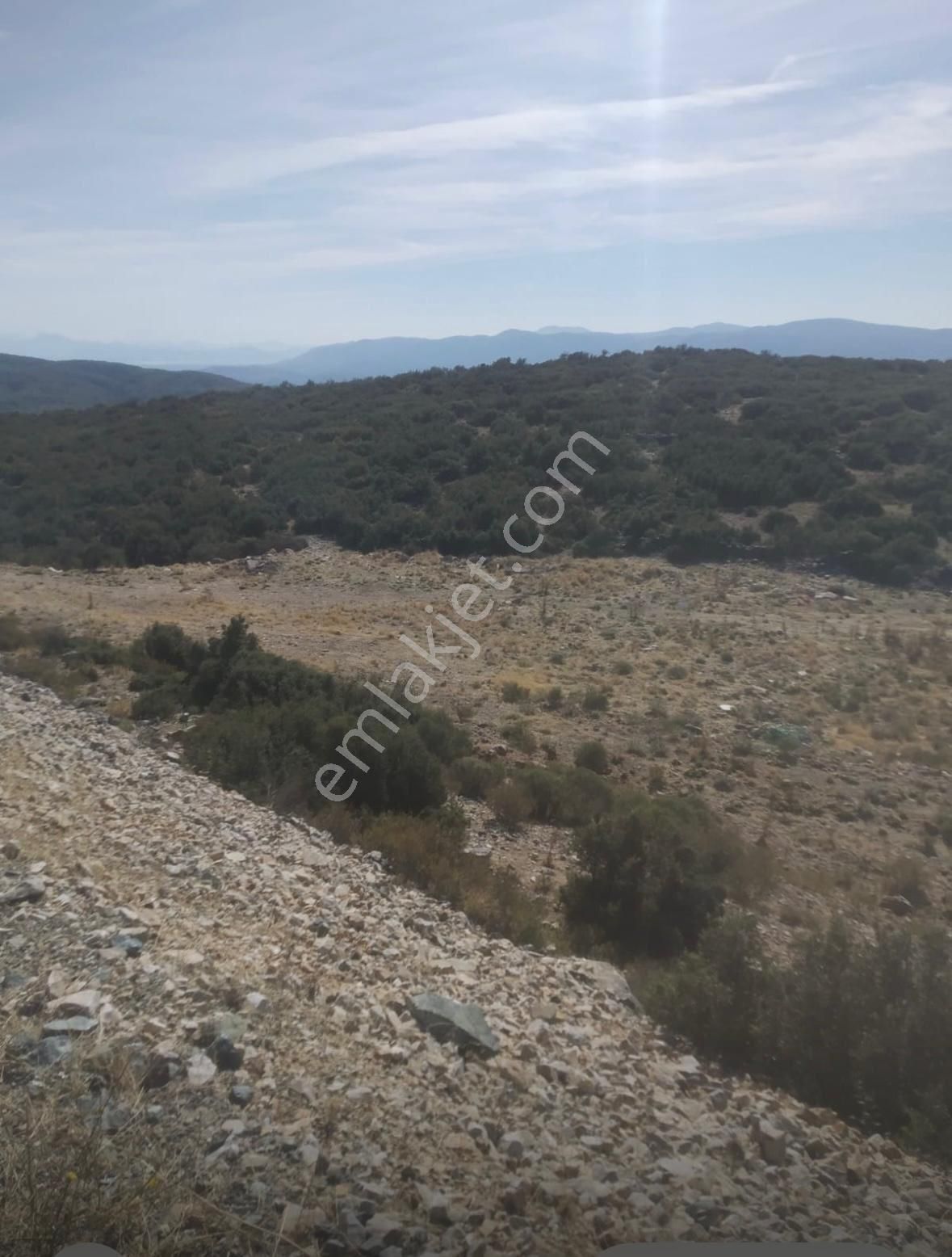 Uyaran79 Gayrimenkulden Muğla Ula Demirtaş Mh Yol Kenarı Tarla - Görsel 2