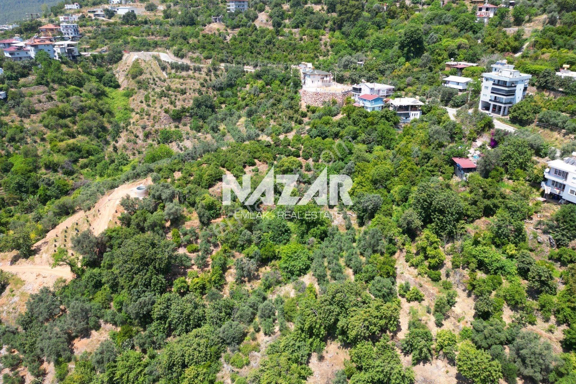 Alanya Değirmendere Mahallesi’nde Satılık 961 M² Manzaralı Tarla - Görsel 7
