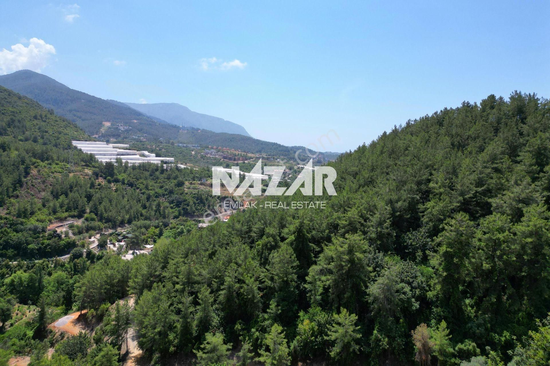 Alanya Değirmendere Mahallesi’nde Satılık 961 M² Manzaralı Tarla - Görsel 6