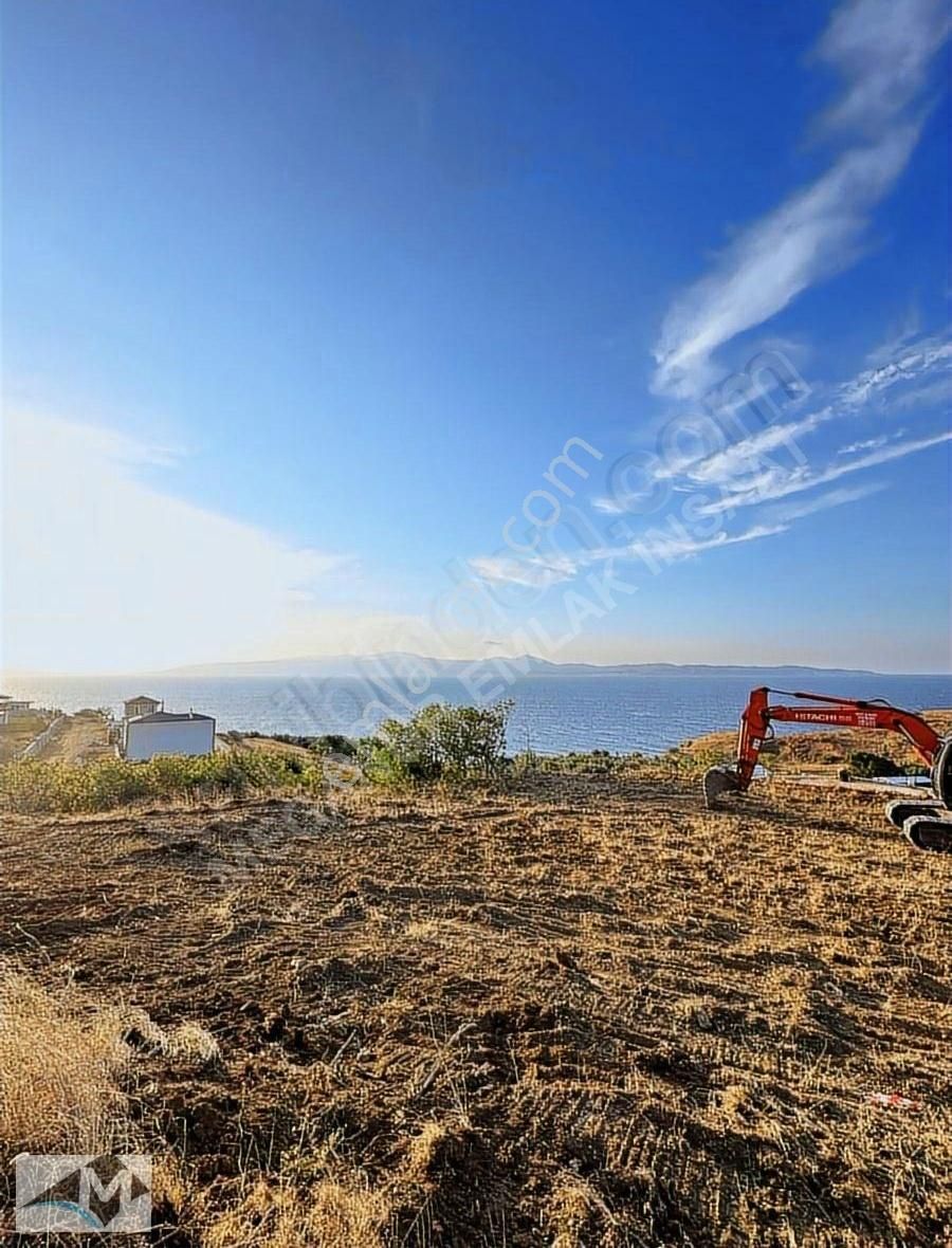 Balıkesir Bandırma Yenice Full Deniz Manzaralı 2200 M2 Tek Tapu