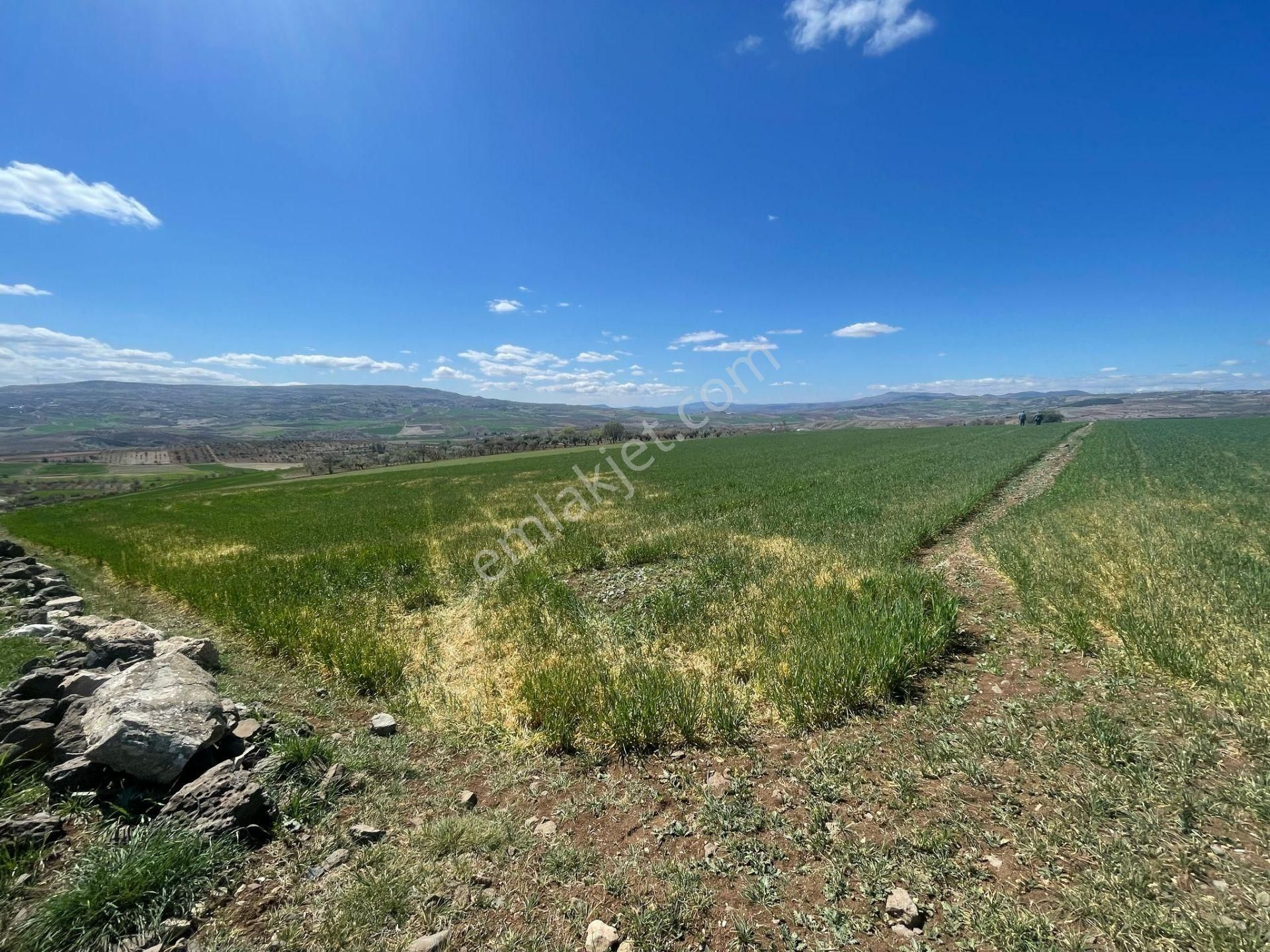 Ertaş Group'tan Yazıbağı'nda Satılık 3400 M2'lik Bağ Evlik Arazi