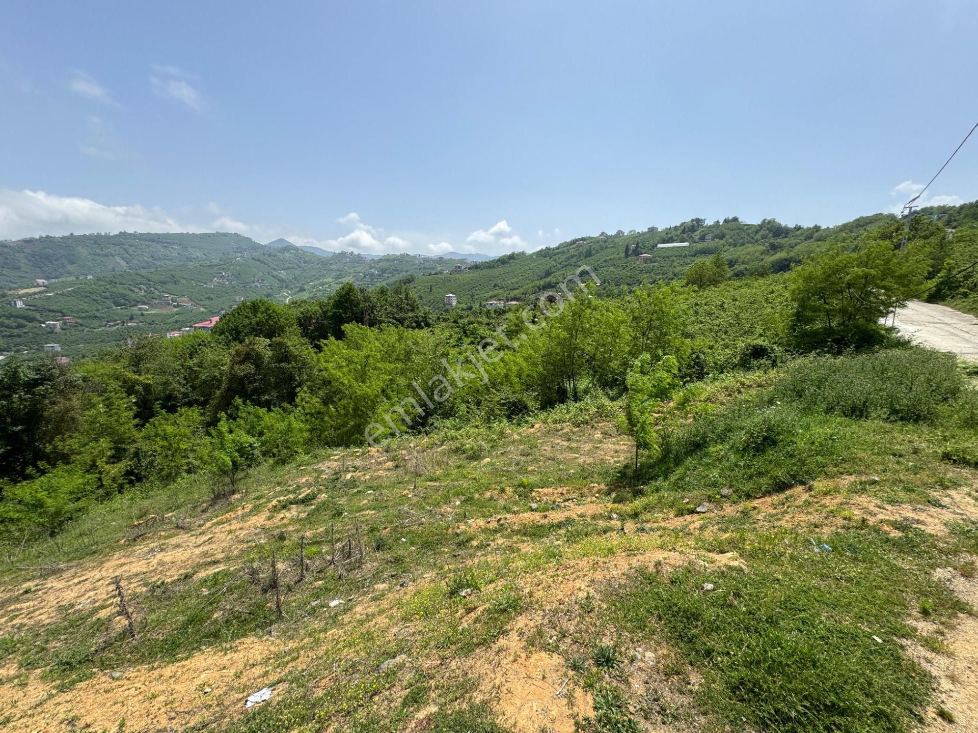 Trabzon Yeşilhisar 1.477 M2 Doğa Manzaralı Satılık Arsa