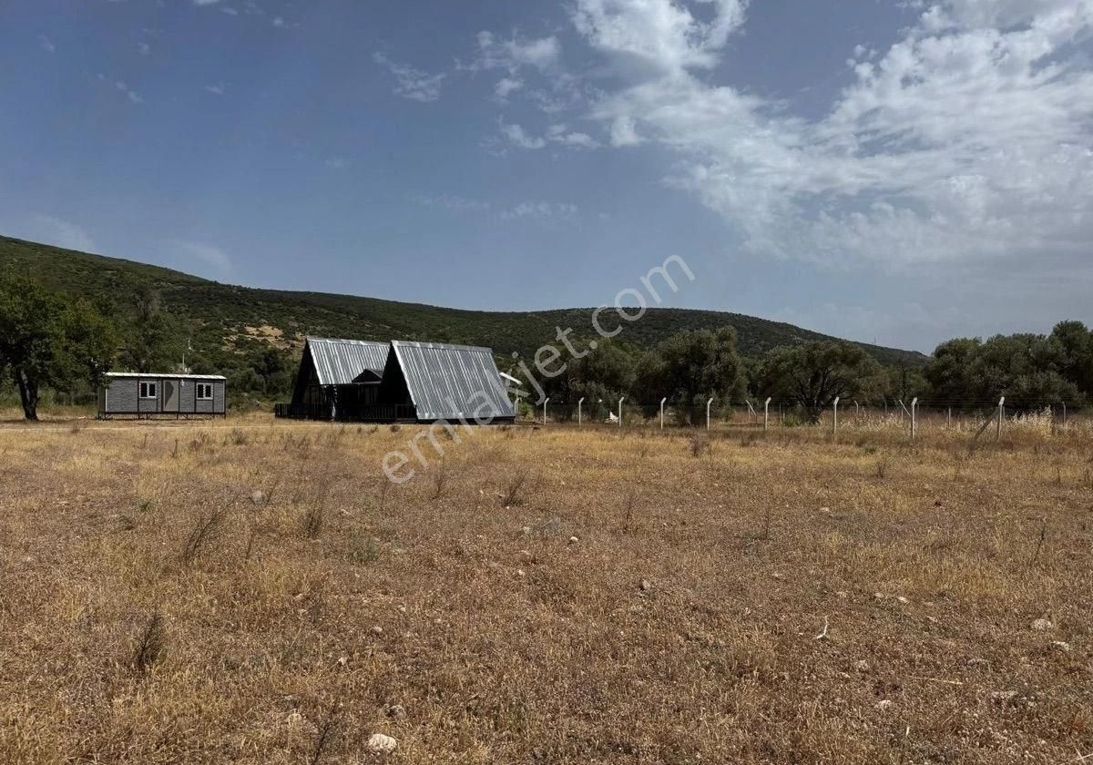 Hasan Bulgur Emlaktan Urlada Denize Yakın Mesafede Hobi Bahçesi - Görsel 6