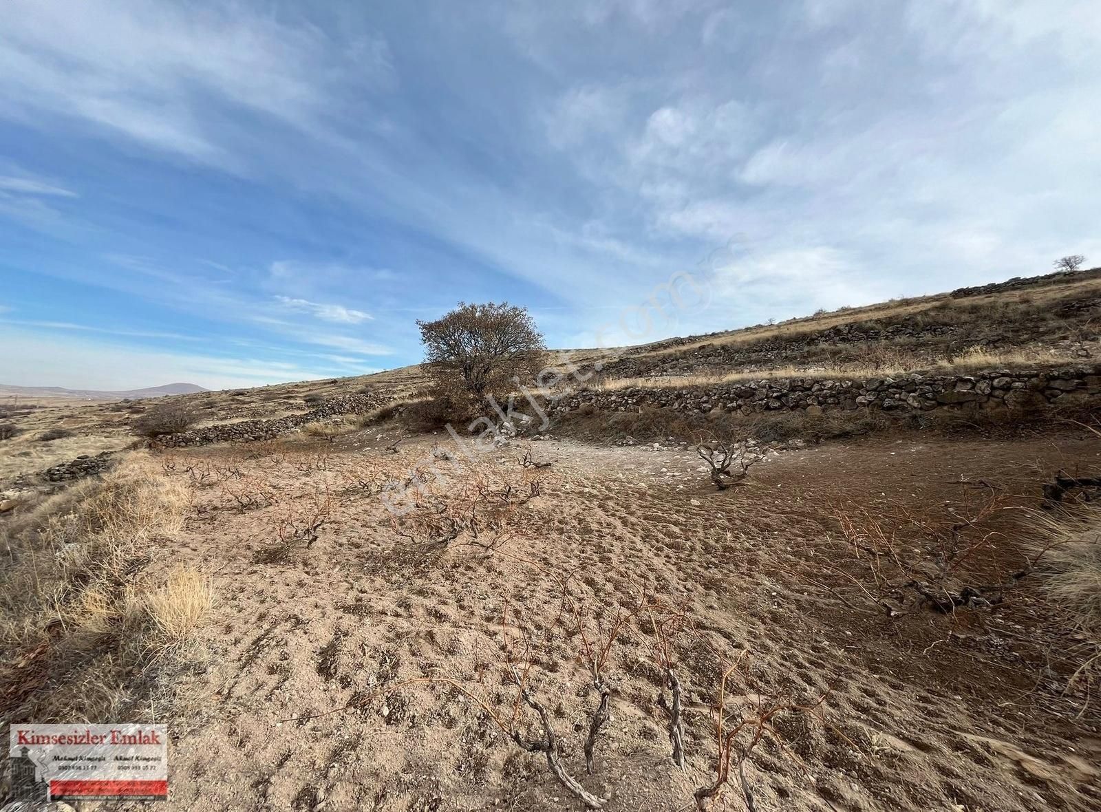 Ürgüp Karakaya'da Satılık 493 M2 Bağ
