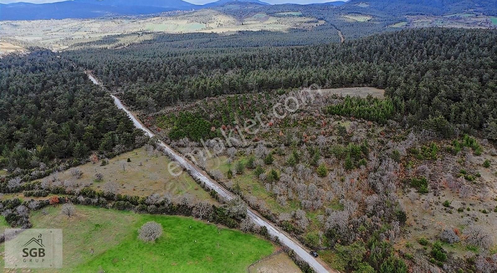 Bayramiç Hacıbekirlerde Asfalt Cephe 11.558 M2 Satılık Tarla
