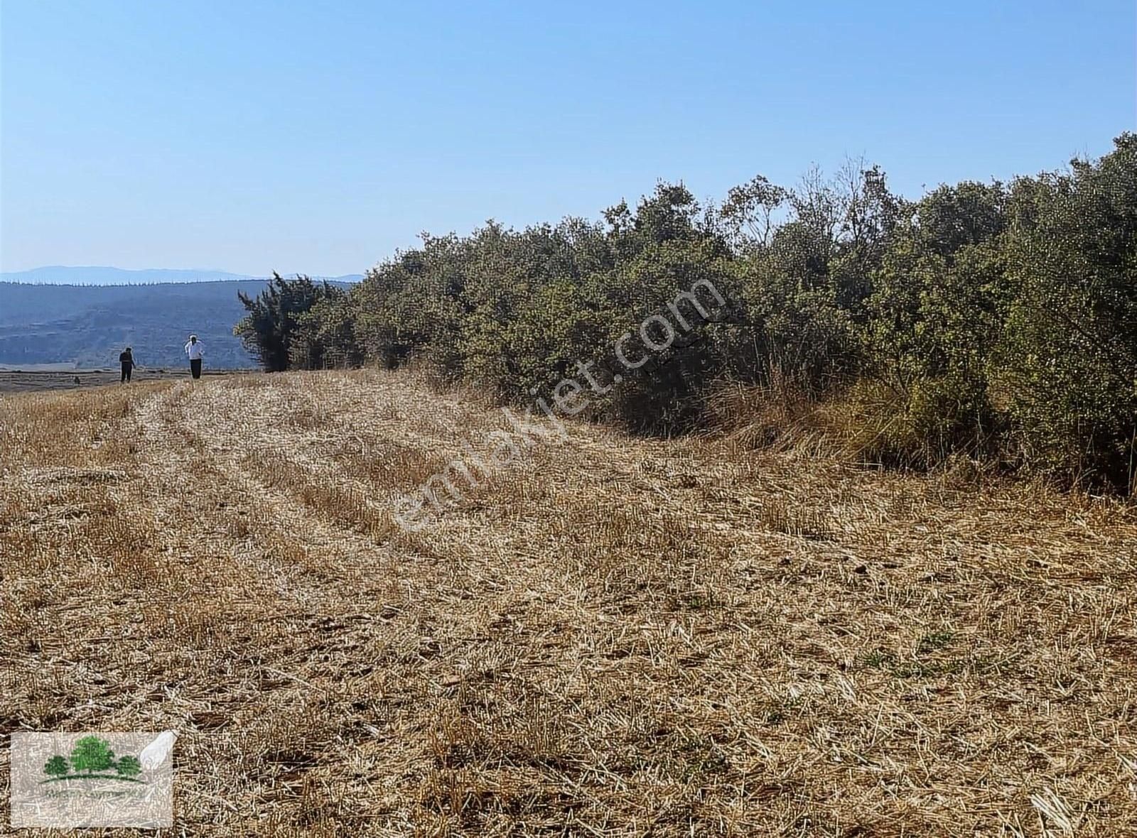 Acil Satılık !! Yenişehir Son 4 Gün Geri Sayım Başladı !!!! - Görsel 30