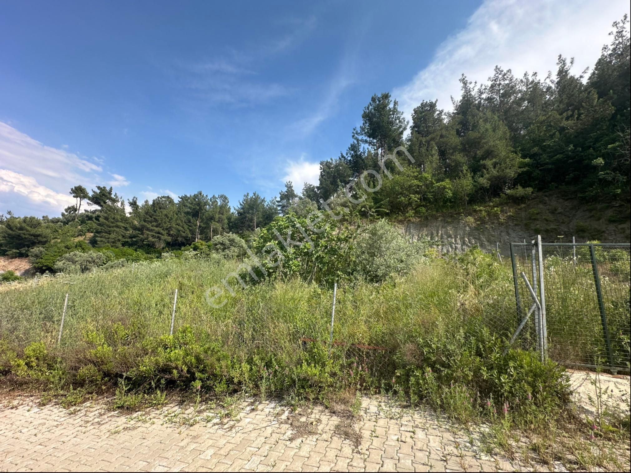 Kemalpaşa Ören 75. Yıl Mah. Satılık 780 M2 Bahçe