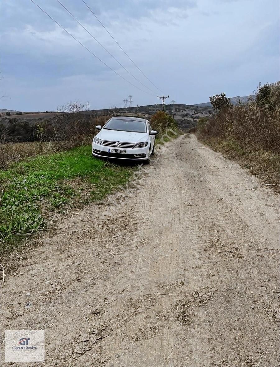 Hobi Bahçelik 2250 M2 Yer