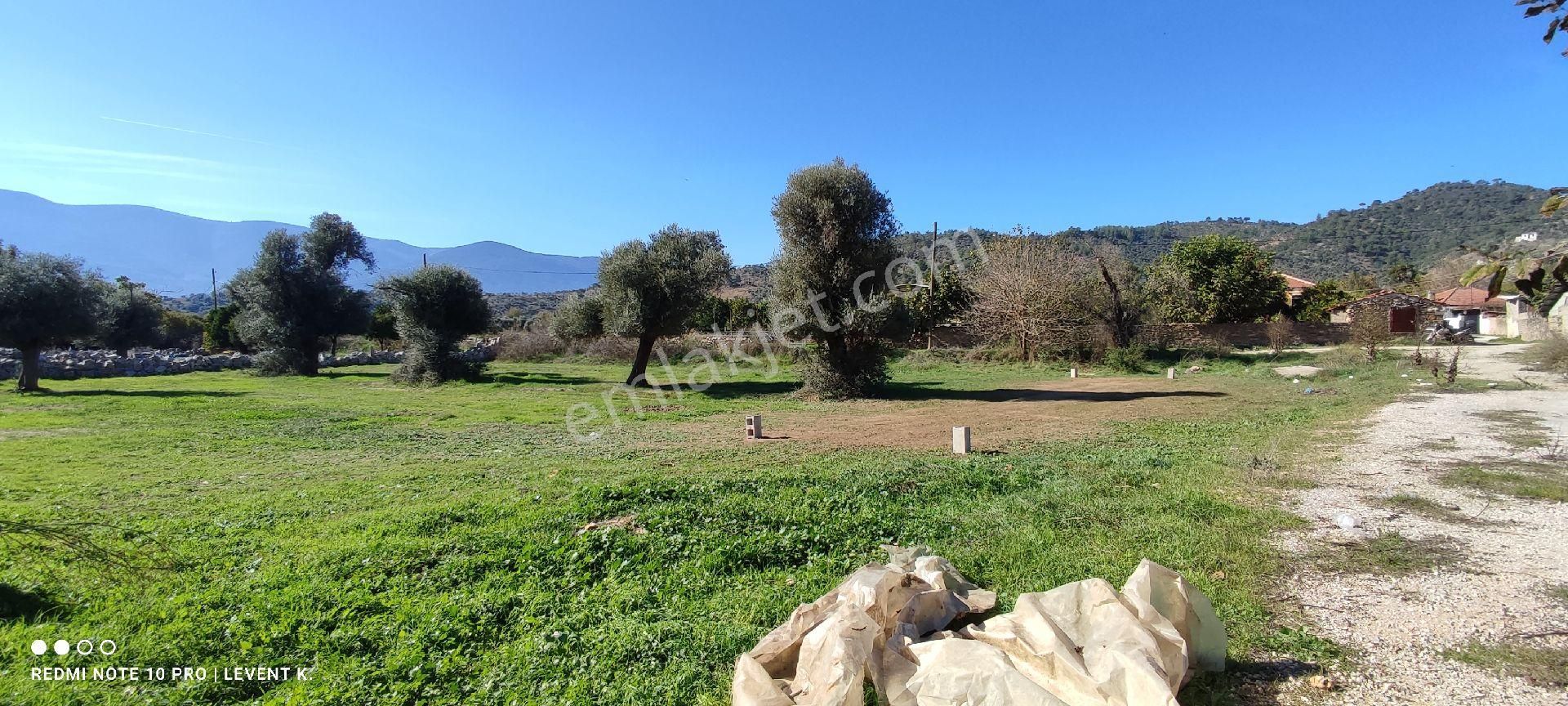 Milas Selimiye Derince'de Köyiçi İmarlı Satılık Arsa - Görsel 5